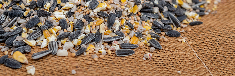 Hvilke ingredienser finner man i fuglefrøblandinger?