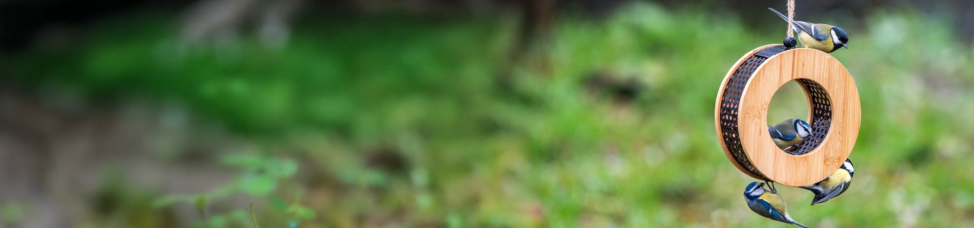 Opptil 15% rabatt* på alt