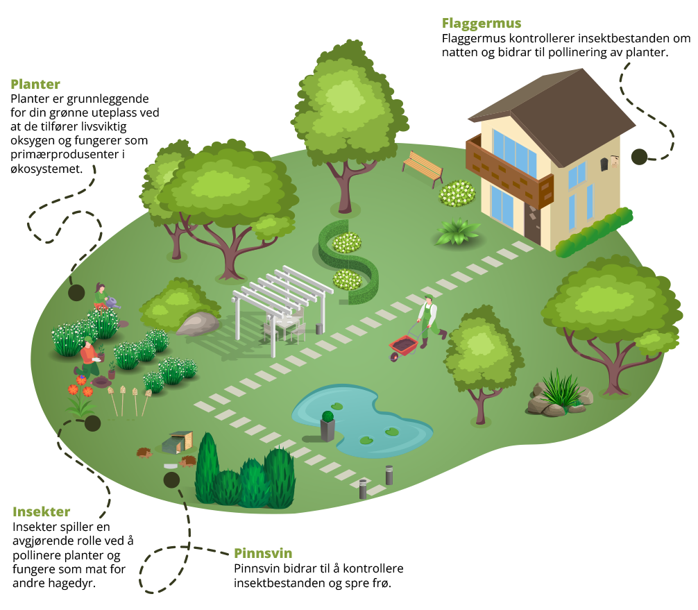 Your garden, your green living room