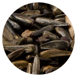 Nigerfr&oslash; til stillits og gr&oslash;nnsisik